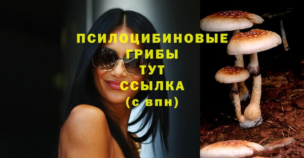 PSILOCYBIN Абдулино