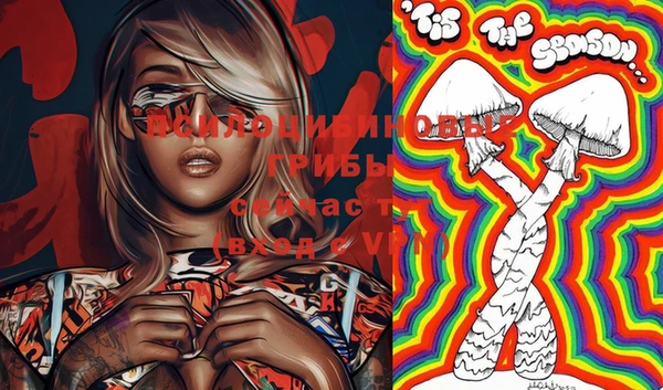 PSILOCYBIN Мегион