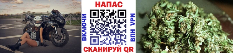 продажа наркотиков  Рославль  mega зеркало  Шишки марихуана MAZAR 
